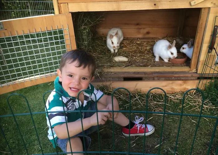 Alpenjuwel Apartamento *